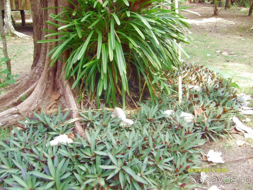 отзыв об отдыхе