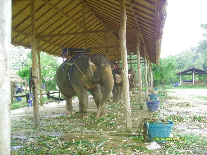 отзыв об отдыхе