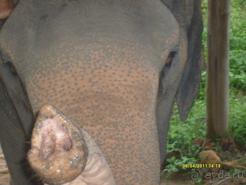 отзыв об отдыхе