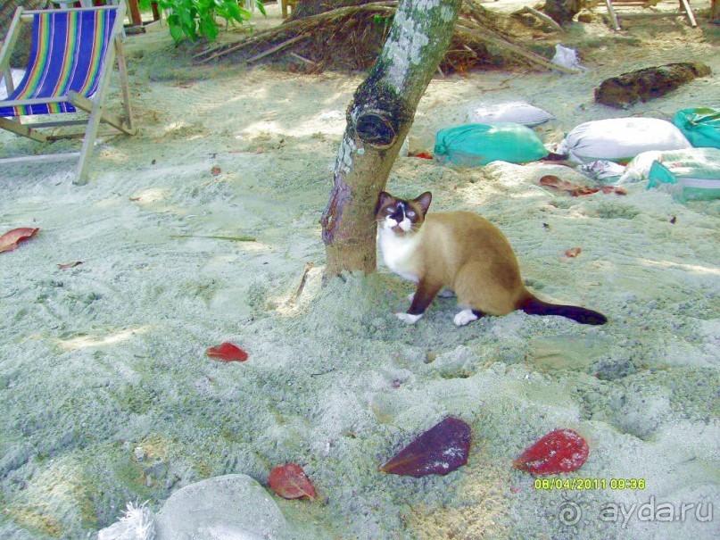 отзыв об отдыхе