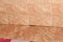 фото The Little Nell