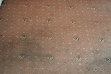 УЖАСНЫЙ отель