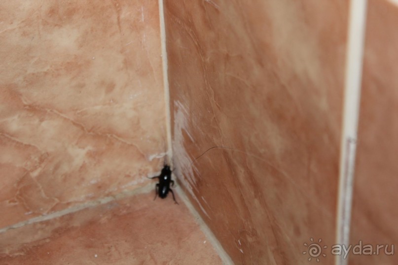 УЖАСНЫЙ отель