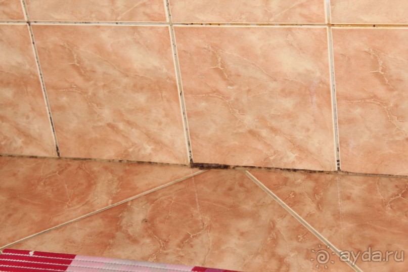 УЖАСНЫЙ отель