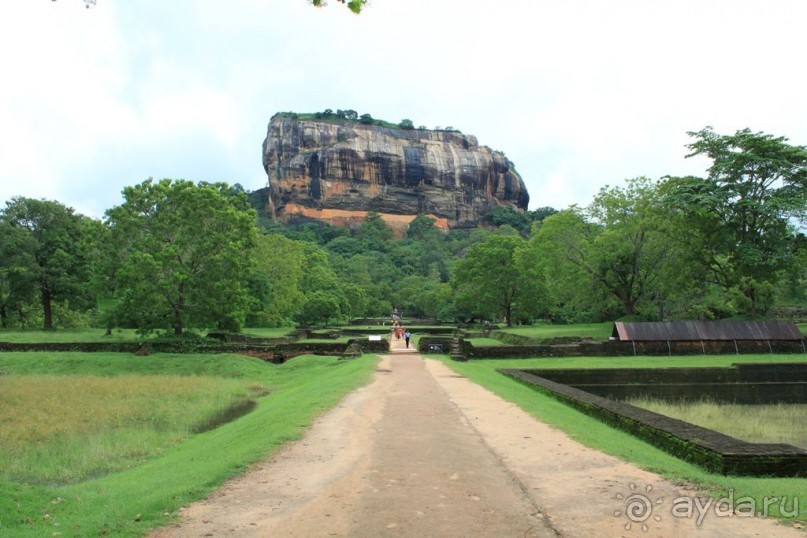 Ланкийская свадьба или остров Цейлон, каким его увидели мы. Часть первая. Шри- Ланка нашими глазами.
