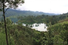 Ланкийская свадьба или остров Цейлон, каким его увидели мы. Часть первая. Шри- Ланка нашими глазами.