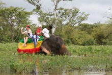 Ланкийская свадьба или остров Цейлон, каким его увидели мы. Часть первая. Шри- Ланка нашими глазами.