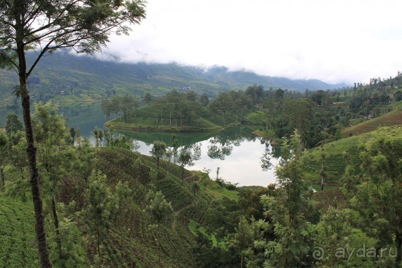 Ланкийская свадьба или остров Цейлон, каким его увидели мы. Часть первая. Шри- Ланка нашими глазами.