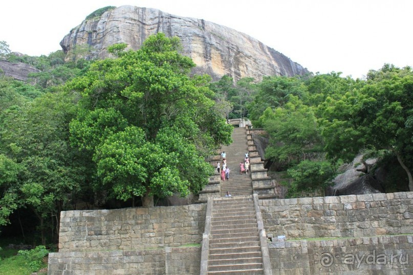 Ланкийская свадьба или остров Цейлон, каким его увидели мы. Часть первая. Шри- Ланка нашими глазами.