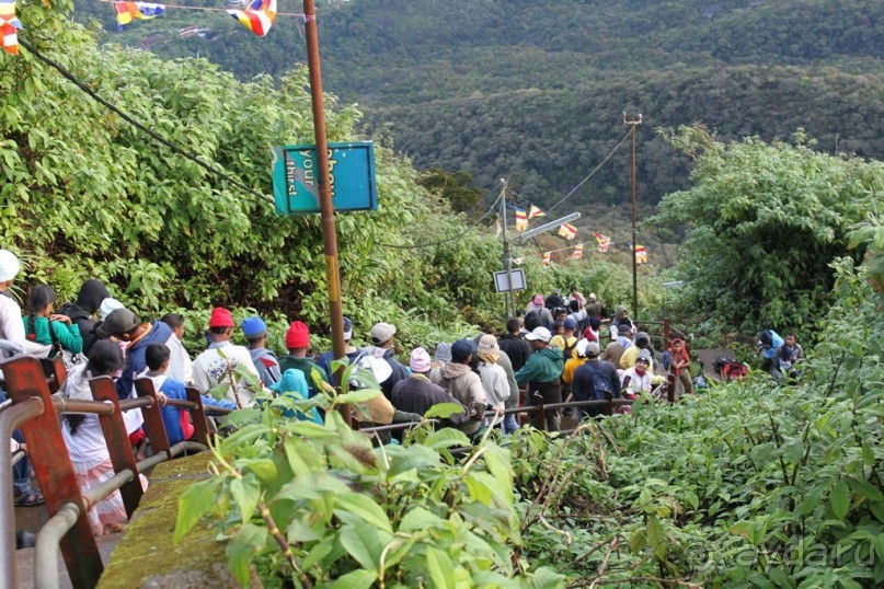 Ланкийская свадьба или остров Цейлон, каким его увидели мы. Часть первая. Шри- Ланка нашими глазами.