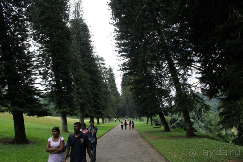 Ланкийская свадьба или остров Цейлон, каким его увидели мы. Часть первая. Шри- Ланка нашими глазами.