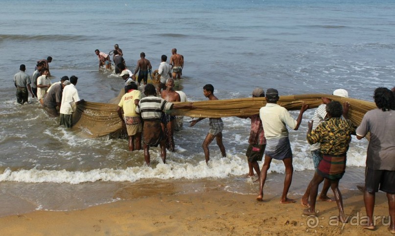 Ланкийская свадьба или остров Цейлон, каким его увидели мы. Часть вторая. Свадьба на Шри- Ланке