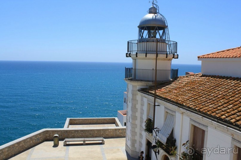 Замок заката на берегу цветов апельсинового дерева.