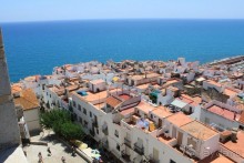 Замок заката на берегу цветов апельсинового дерева.