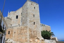 Замок заката на берегу цветов апельсинового дерева.