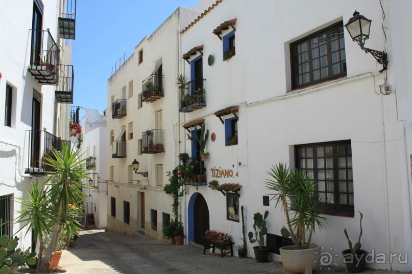 Замок заката на берегу цветов апельсинового дерева.