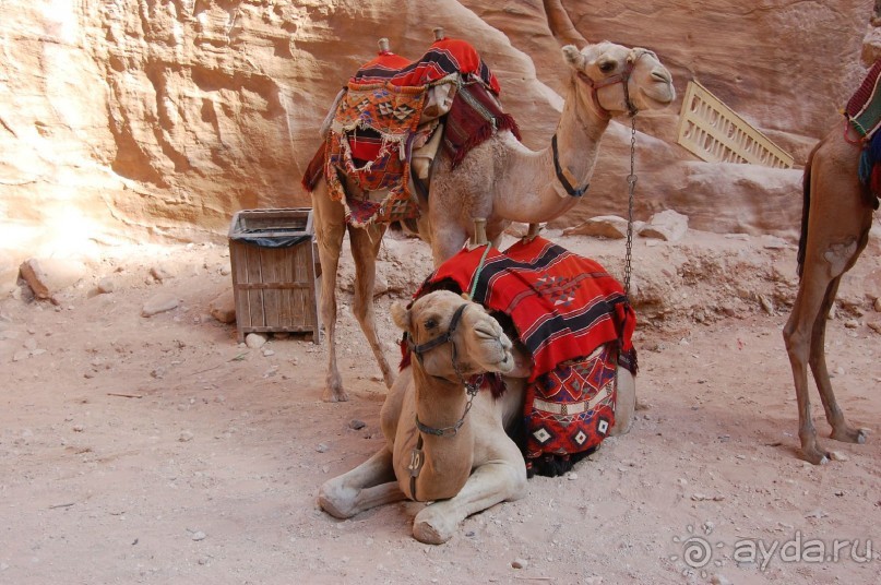 Иордания -  восточная сказка