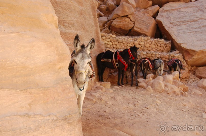 Иордания -  восточная сказка