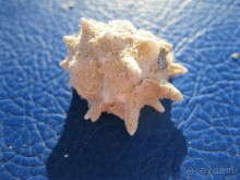 Как и обещала,в ноябре 2012-ого опять гостили в этом отеле!