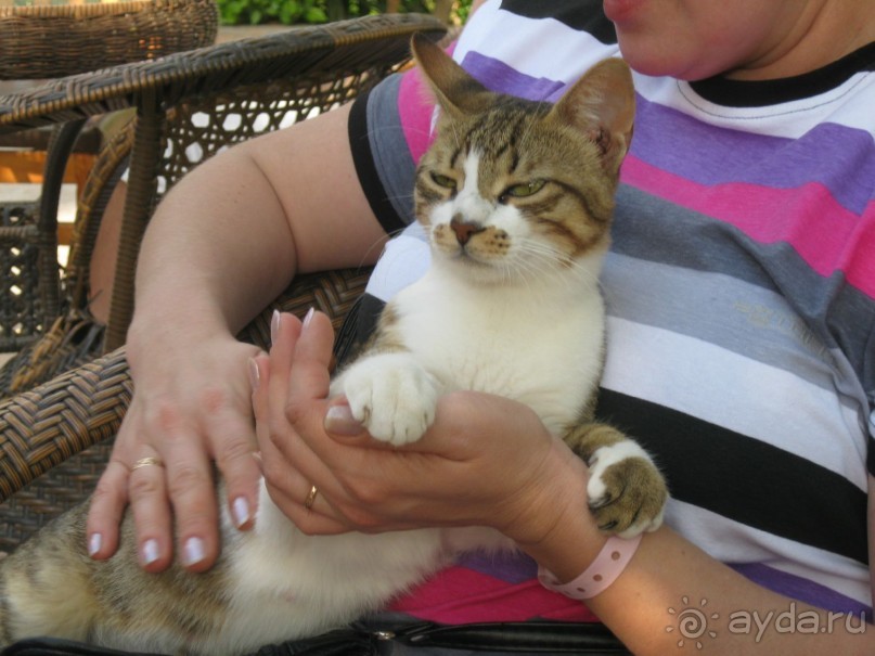 фото Club Hotel la Cachette