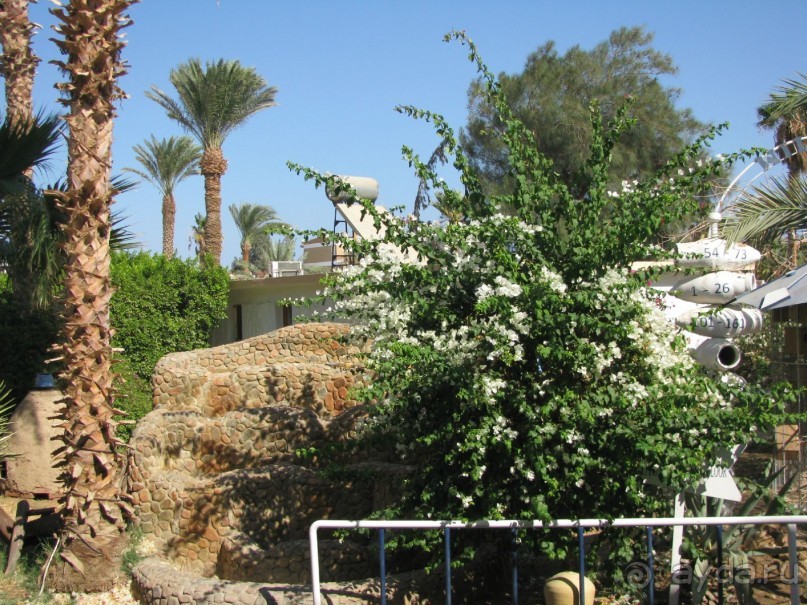 фото El Samaka Komfort