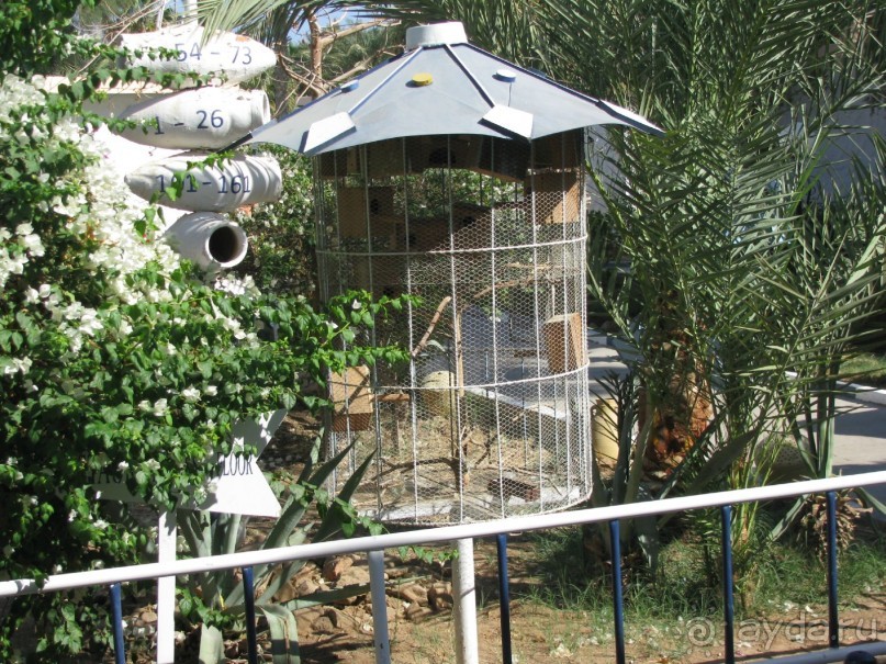 фото El Samaka Komfort