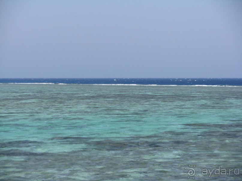 Витамин /D/ для здоровья!