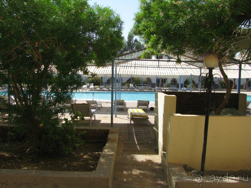 Витамин /D/ для здоровья!