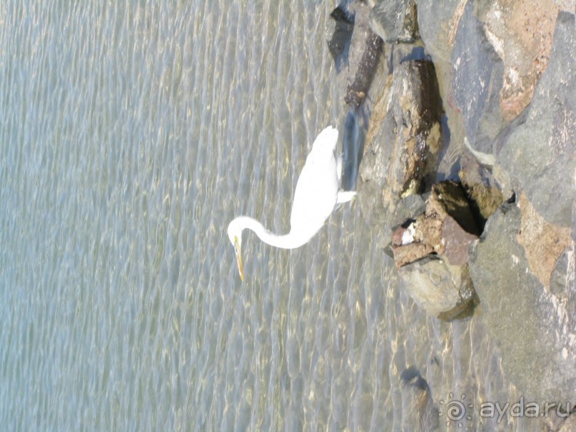 Витамин /D/ для здоровья!