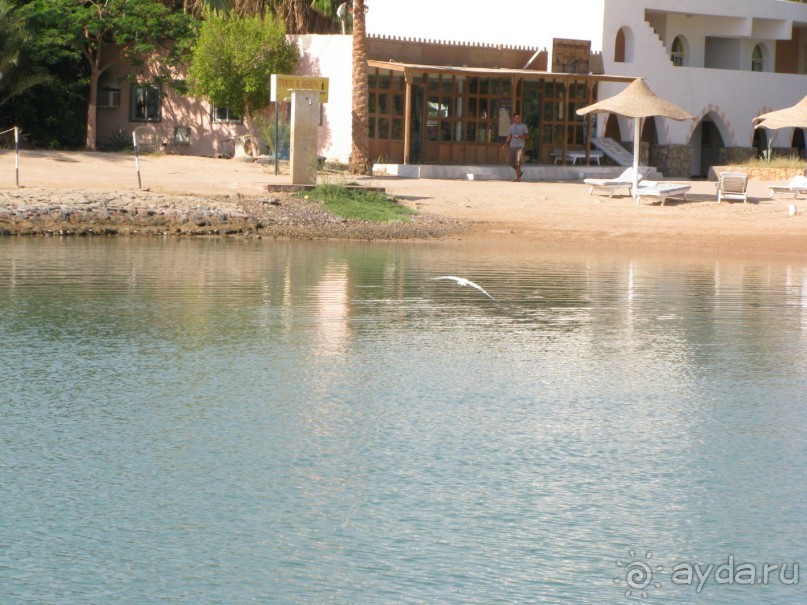 Витамин /D/ для здоровья!