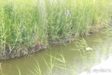 Не советую!