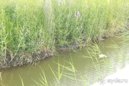 Не советую!