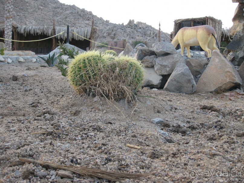 фото Sunny Days El Palacio Resort