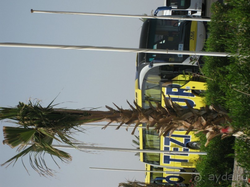 фото Sunny Days El Palacio Resort