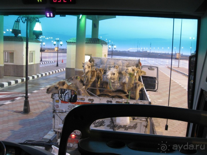 фото Sunny Days El Palacio Resort