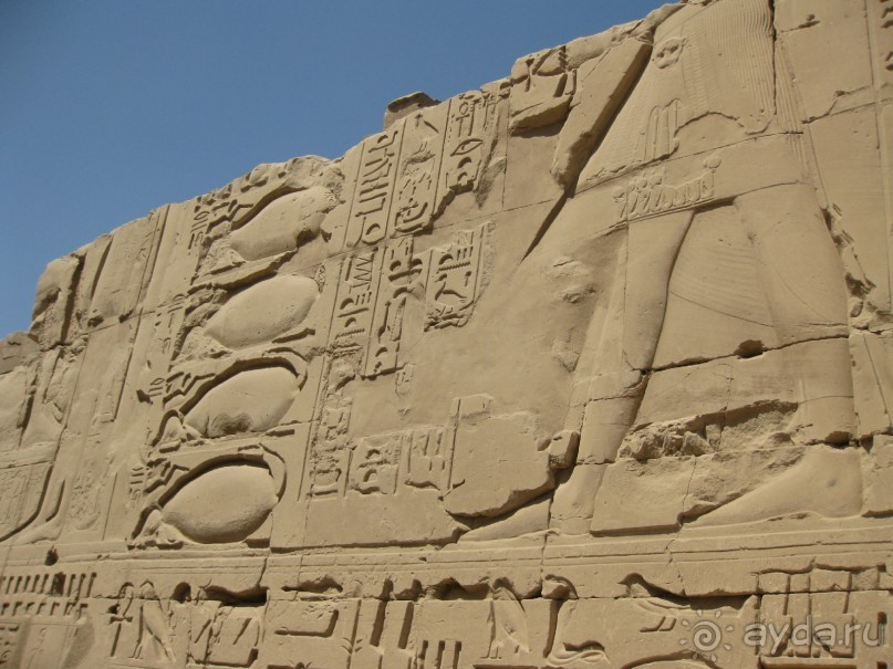 фото Sunny Days El Palacio Resort