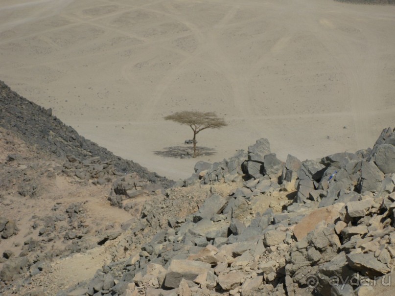 фото Sunny Days El Palacio Resort