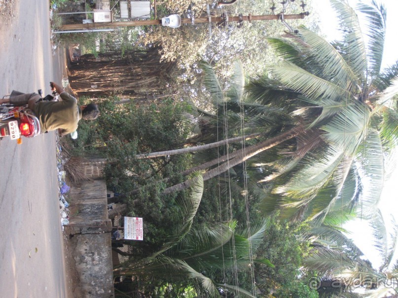 Гоа Калангут