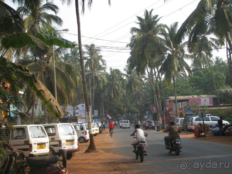 Гоа Калангут