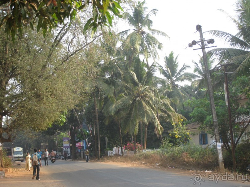 Гоа Калангут