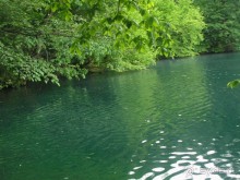 они действительно голубые