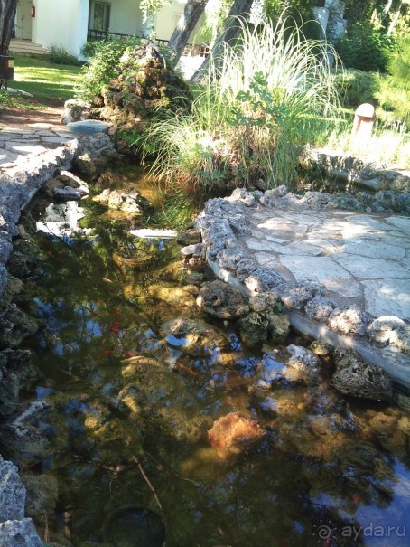 Очень даже хорошо