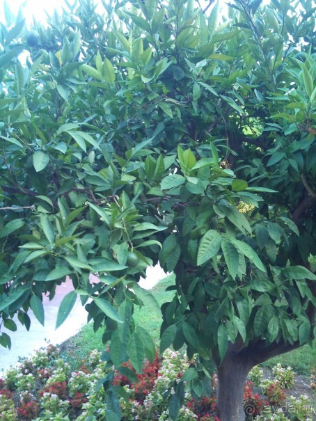 Очень даже хорошо