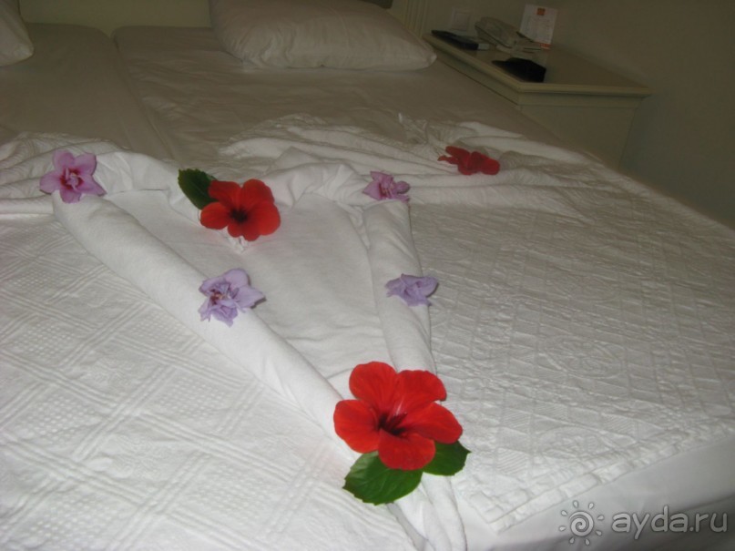 Очень даже хорошо