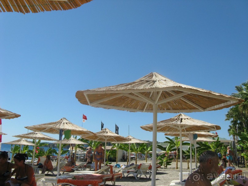 Очень даже хорошо