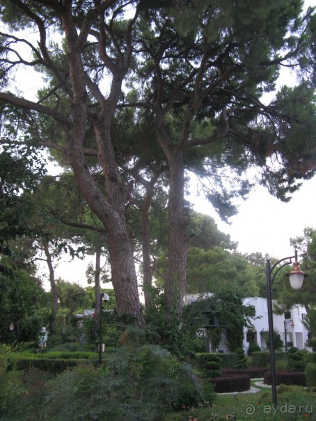 Очень даже хорошо