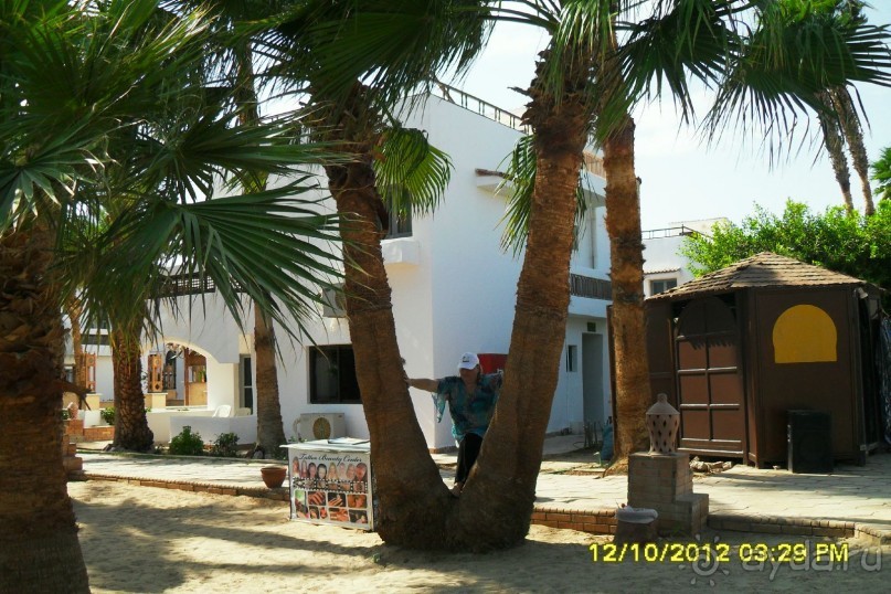 фото Al Mashrabiya