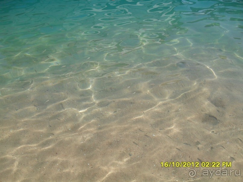 фото Al Mashrabiya