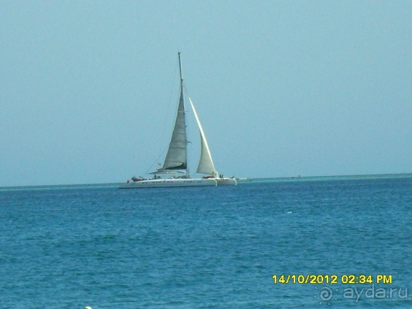 фото Al Mashrabiya