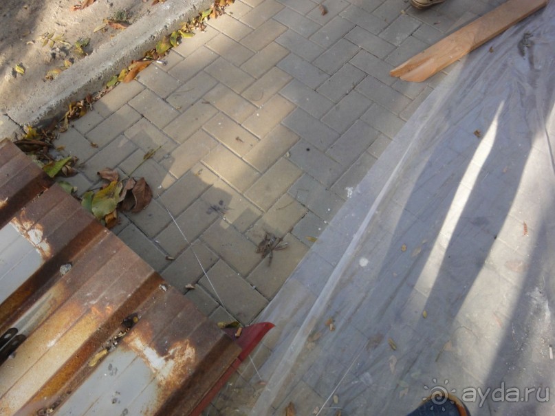 Голубая тюрьма